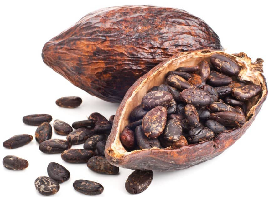 Cocoa Beans