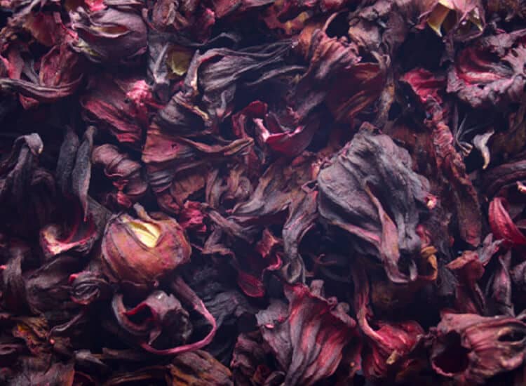 Dried Hibiscus Flower