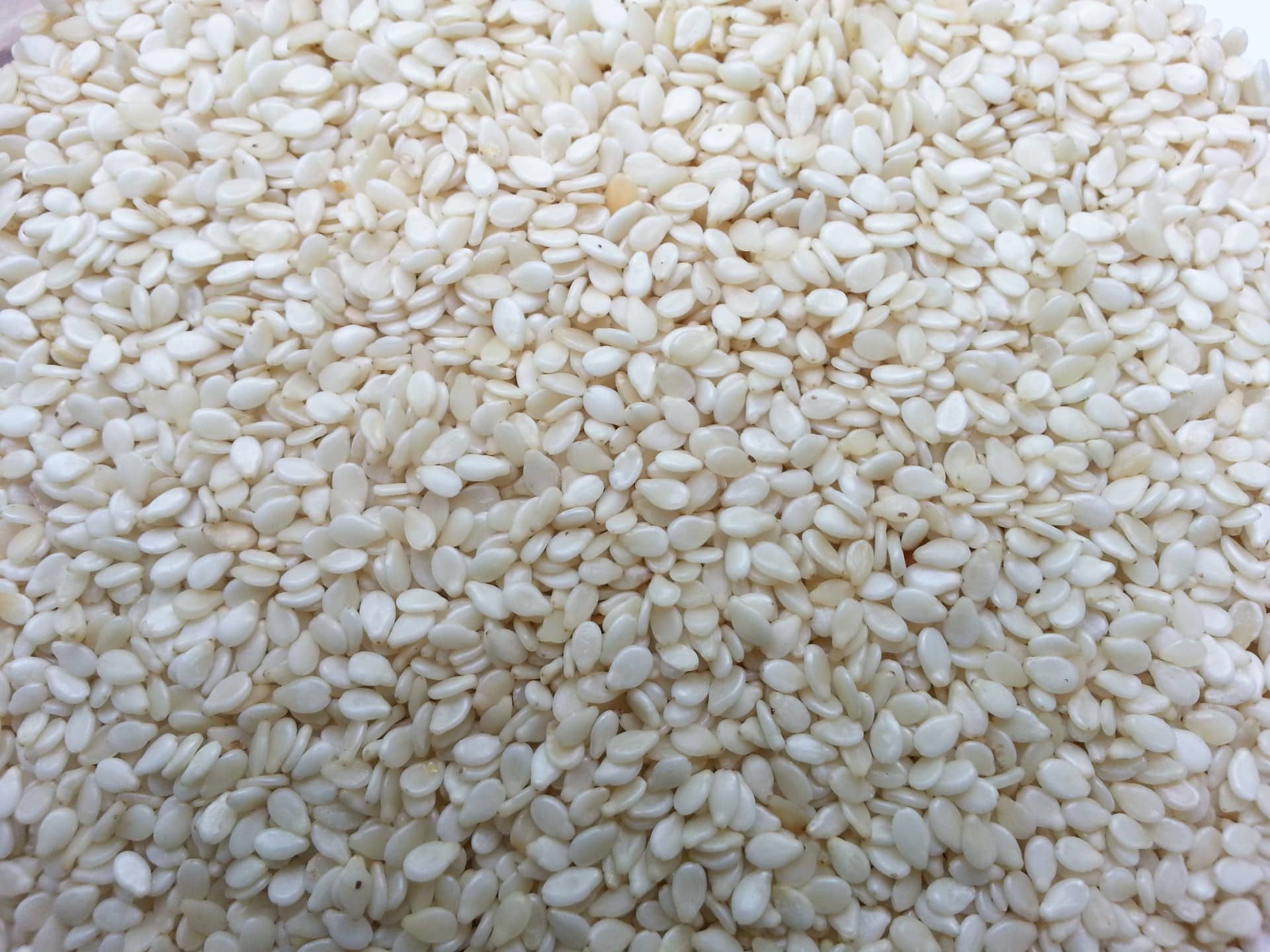 Natural White Sesame Seed